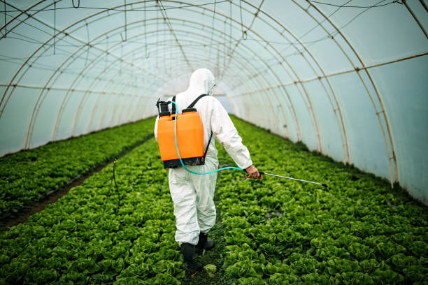 Best Best Pest Control Companies  in Coudersport, PA