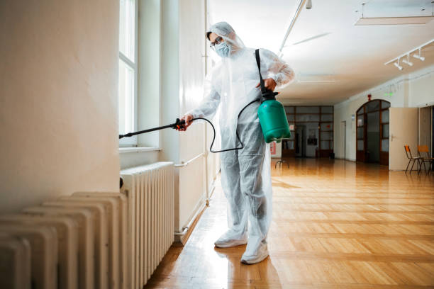 Best Rat Extermination Near Me  in Coudersport, PA
