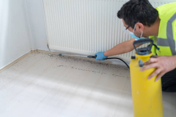 Best Affordable Pest Control Services  in Coudersport, PA