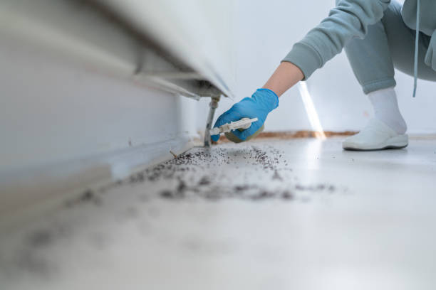 Best Wildlife Control Services  in Coudersport, PA